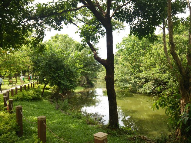 公園内の風景